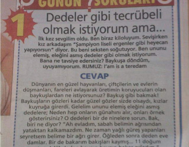 Haydar Dümen'e Sorulmuş En İlginç Sorular