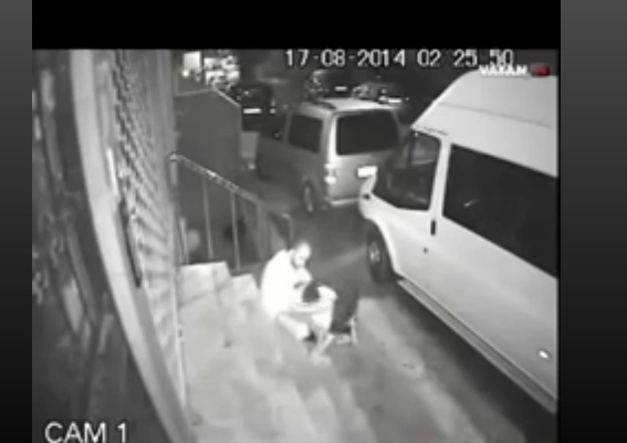 SOKAK ORTASINDA KÖPEĞE T*CAVÜZ ETTİ! İNSANLIIK DIŞI BİR HAREKET! ASILMASI LAZIM...