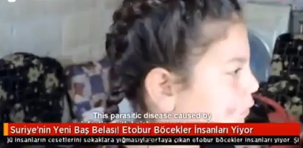 Sonunda Bunu da Yaptılar! Bu Böcek İnsan Eti Yiyor..