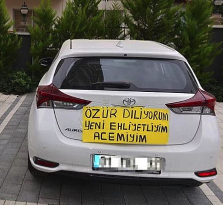 Görüldüğü An Bir Yanınızın Hüzünlenip Bir Yanınızın Eğleneceği Gelgitler Yaşatacak Görseller