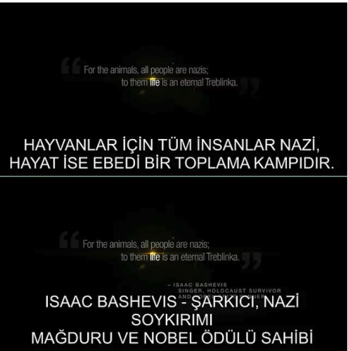 Yüzünüze Tokat Gibi Çarpacak Bir Empati: İnsanlarla Hayvanların Rolü Değişseydi Ne Olurdu?