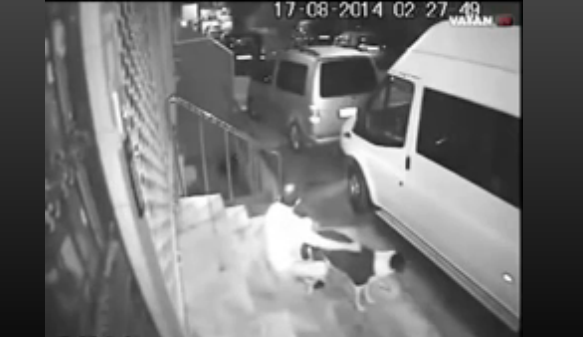 SOKAK ORTASINDA KÖPEĞE T*CAVÜZ ETTİ! İNSANLIIK DIŞI BİR HAREKET! ASILMASI LAZIM...