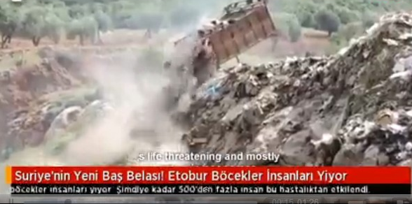 Sonunda Bunu da Yaptılar! Bu Böcek İnsan Eti Yiyor..