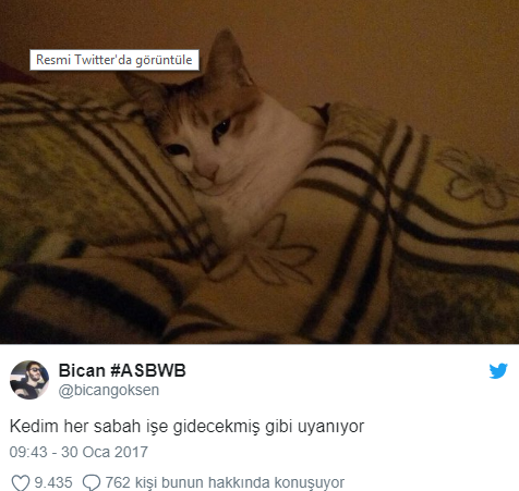 Evcil Hayvanlarıyla Yaşadıkları Komik ve Tatlı Anları Paylaşarak Herkesi Güldüren kişiler