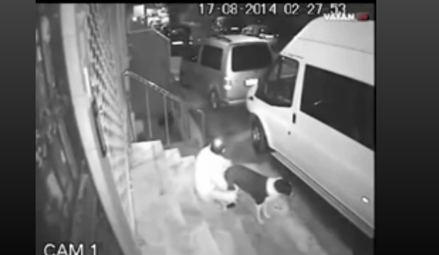 SOKAK ORTASINDA KÖPEĞE T*CAVÜZ ETTİ! İNSANLIIK DIŞI BİR HAREKET! ASILMASI LAZIM...