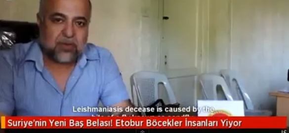 Sonunda Bunu da Yaptılar! Bu Böcek İnsan Eti Yiyor..