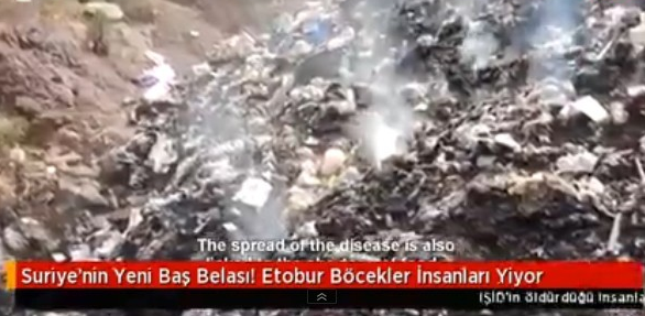 Sonunda Bunu da Yaptılar! Bu Böcek İnsan Eti Yiyor..