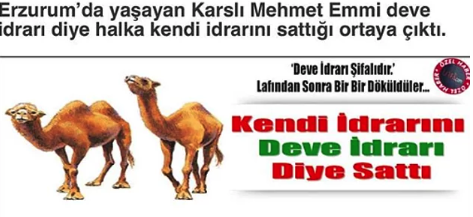 Tüm Trollüğünü İstemeden de Olsa Hayatlarına Bir Şekilde Yansıtmayı Başarmış  Kişiler