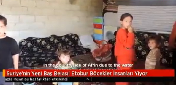 Sonunda Bunu da Yaptılar! Bu Böcek İnsan Eti Yiyor..