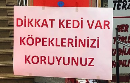 Tüm Trollüğünü İstemeden de Olsa Hayatlarına Bir Şekilde Yansıtmayı Başarmış  Kişiler
