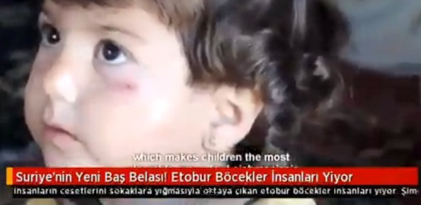 Sonunda Bunu da Yaptılar! Bu Böcek İnsan Eti Yiyor..