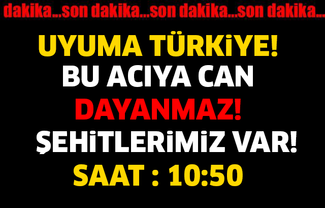 ÇOK SAYIDA ŞEHİDİMİZ VAR! BAŞIMIZ SAĞOLSUN..!