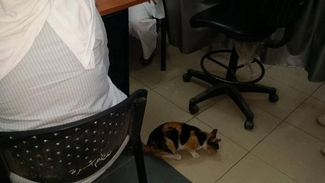 Çok Şaşıracaksınız! Hastane Demeye Bin Şahit Lazım