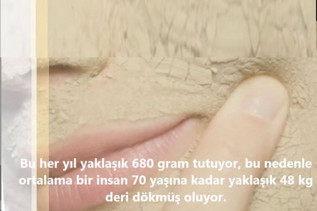 İnsanlar da Olan 10 Ortak Özellik