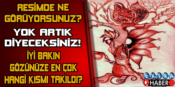 Resimde Ne Görüyorsunuz? Yok artık diyeceksiniz!