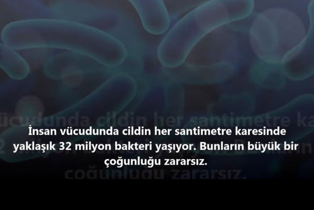 İnsanlar da Olan 10 Ortak Özellik