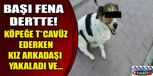 KÖPEĞE T*CAVÜZ EDEN ADAMI KIZ ARKADAŞI YAKALADI!