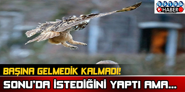 Başına gelmedik Kalmadı!