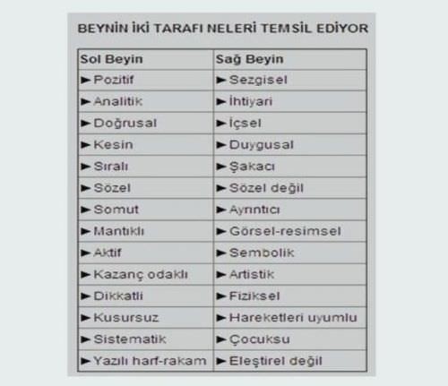 Beyninizin Hangi Yönünü Kullanıyorsunuz ?