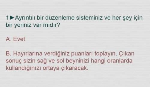Beyninizin Hangi Yönünü Kullanıyorsunuz ?