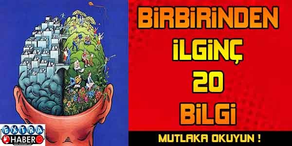 Birbirinden ilginç 20 bilgi