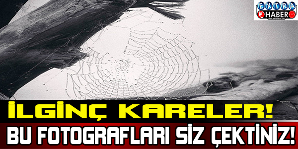 Bu Fotoğrafları Siz Çektiniz!