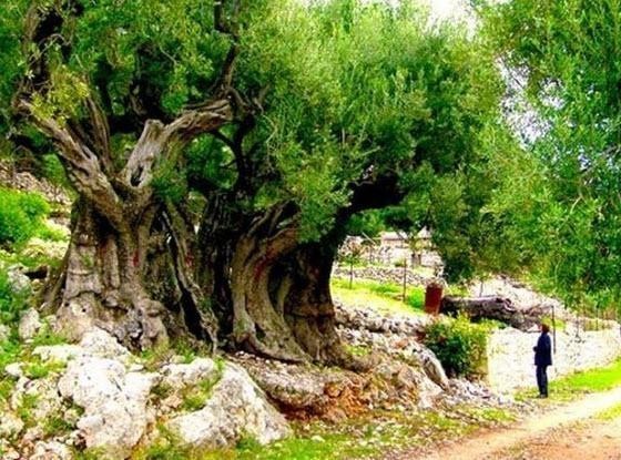 HERKES ÇAKMAK CEBİ ZANNEDİYOR AMA YANILIYOR... KOT PANTOLONLARDAKİ O KÜÇÜK CEBİN NEDEN TASARLANDIĞINI DUYUNCA ÇOK ŞAŞIRACAKSINIZ...