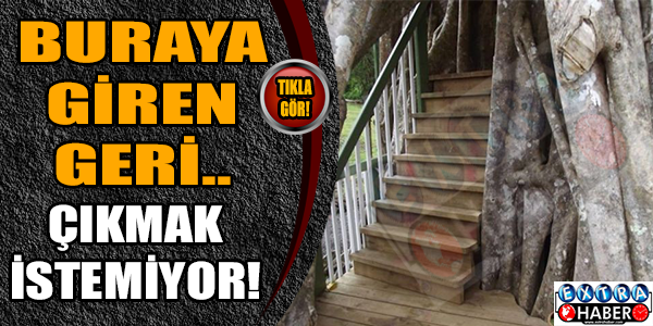 Buraya geliyorlar ve...
