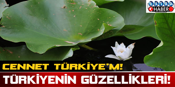 Cennet Türkiye'm