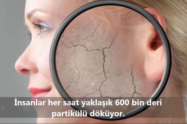 İnsanlar da Olan 10 Ortak Özellik