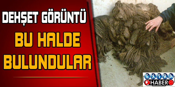 Bakın nasıl değiştiler