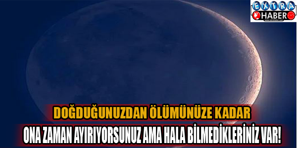 Doğduğunuzdan beri zamanınızın çoğunu ona ayırıyorsunuz ama hala bilmiyorsunuz!!!