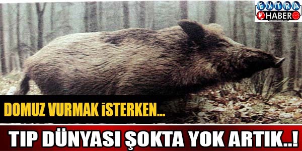 DOMUZ VURMAK İSTERKEN... TIP DÜNYASI ŞOKTA YOK ARTIK..!