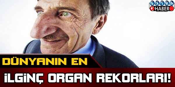 Dünyanın en ilginç organ rekorları !