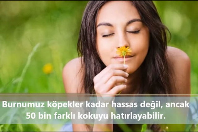 İnsanlar da Olan 10 Ortak Özellik