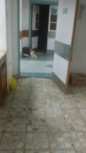 Çok Şaşıracaksınız! Hastane Demeye Bin Şahit Lazım