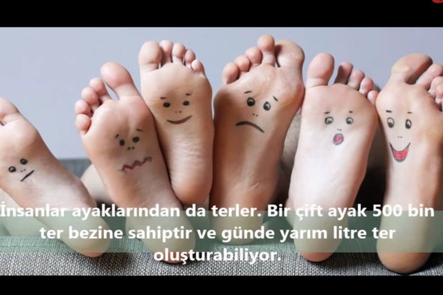 İnsanlar da Olan 10 Ortak Özellik