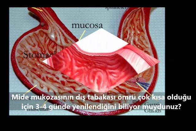 İnsanlar da Olan 10 Ortak Özellik