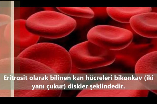 İnsanlar da Olan 10 Ortak Özellik