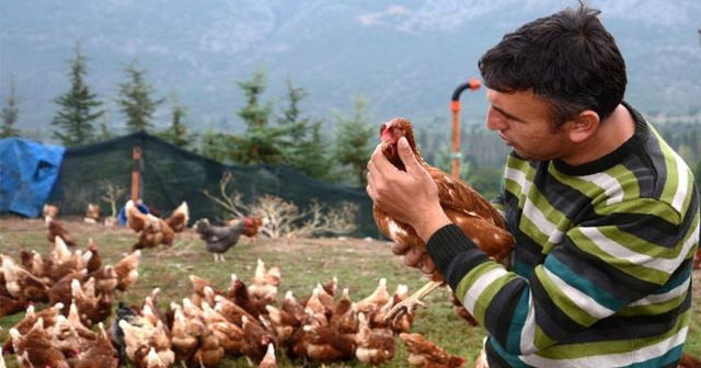 İşsiz kalınca bu işi kurdu..!