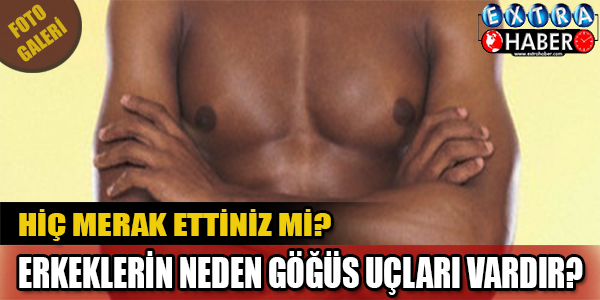 Erkeklerin Göğüs Uçları Neden Var ?