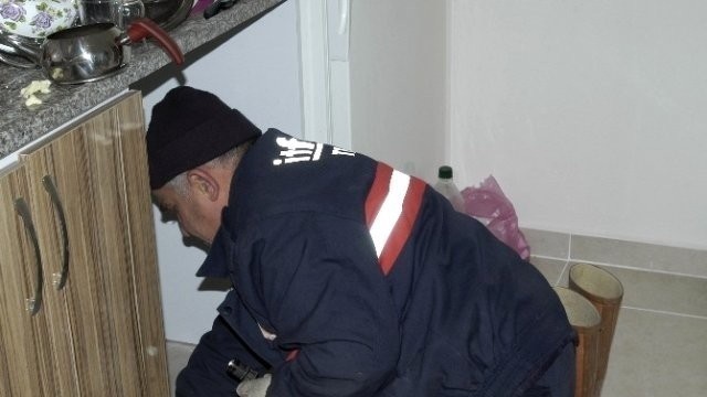 Evde Yılan Var Sanıp İtfaiyeyi Çağırdılar ! Ortaya Çıkan Şey Herkesi Şok Etti!