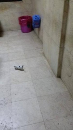 Çok Şaşıracaksınız! Hastane Demeye Bin Şahit Lazım