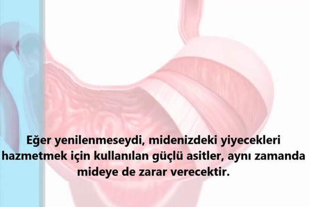 İnsanlar da Olan 10 Ortak Özellik