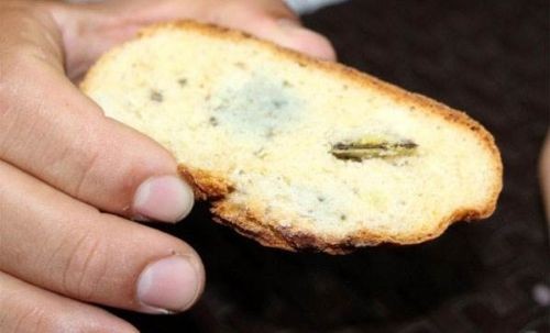 Yediği ekmekten öyle birşey çıktı ki...! Yok Artık diyeceksiniz...!