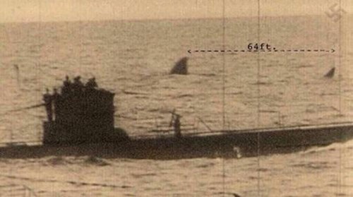 Görüntüyü Büyütünce Korkunç Gerçekle Karşılaştı!