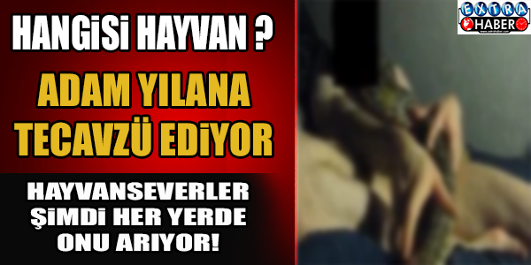 OHA ARTIK! BUNLARDAN HANGİSİ HAYVAN? ADAM YILANA TECAVÜZ EDİYOR!