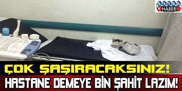 Çok Şaşıracaksınız! Hastane Demeye Bin Şahit Lazım