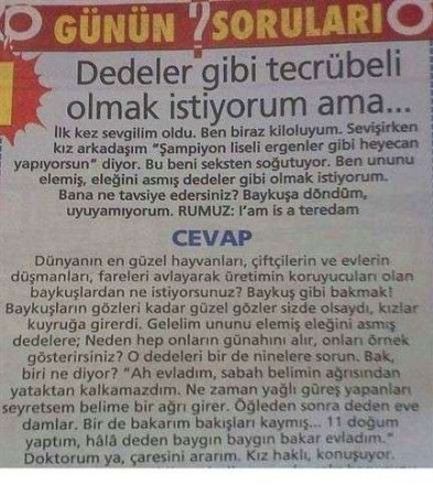 Haydar Dümen'e sorulan ilginç sorular ve cevapları!