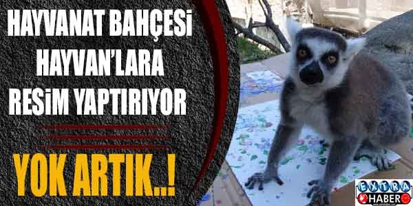 Hayvanat bahçesi, hayvanlara resim yaptırıyor..!